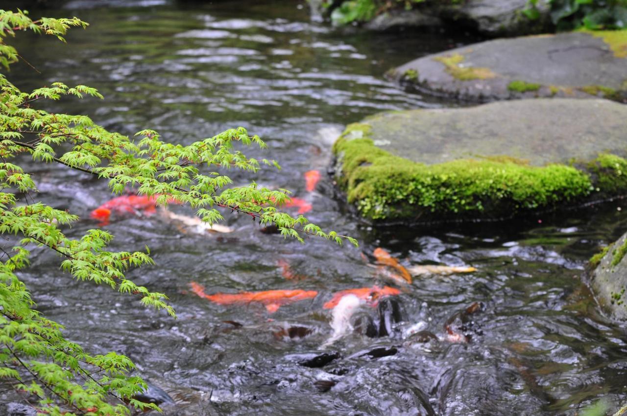 Yoshiike Ryokan Hakone Ngoại thất bức ảnh
