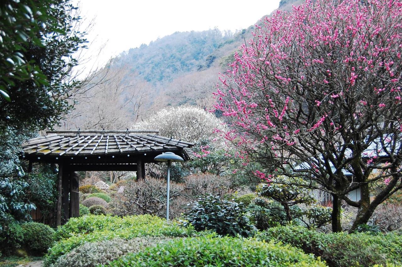 Yoshiike Ryokan Hakone Ngoại thất bức ảnh