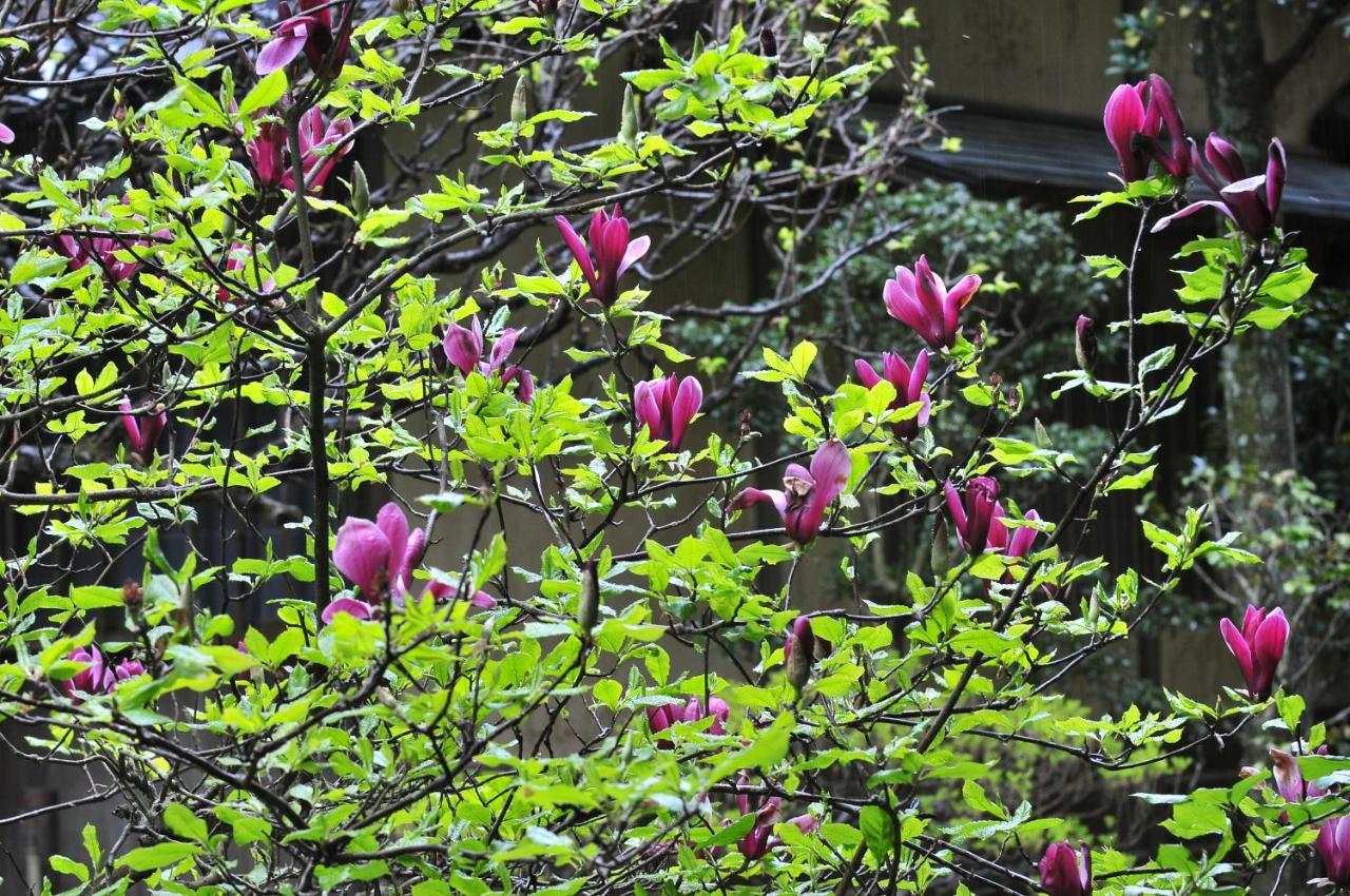 Yoshiike Ryokan Hakone Ngoại thất bức ảnh